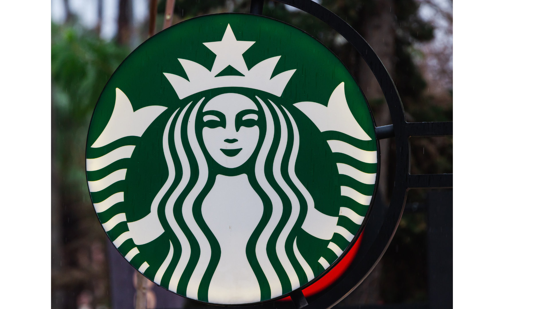 An Image representing a brand logo and visual identity